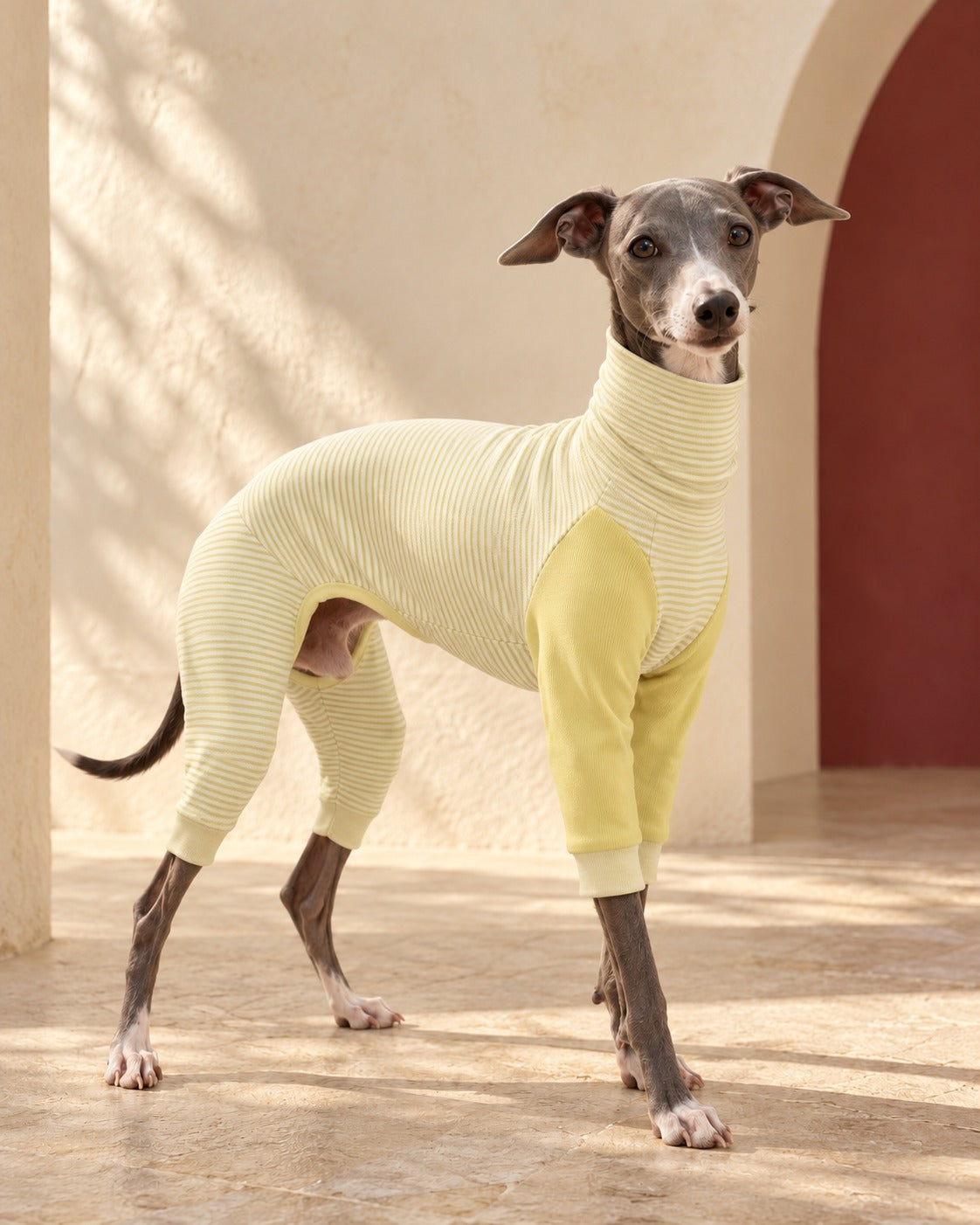 Fine Stripe Four-Leg Iggy Onesie, worn by an Italian Greyhound