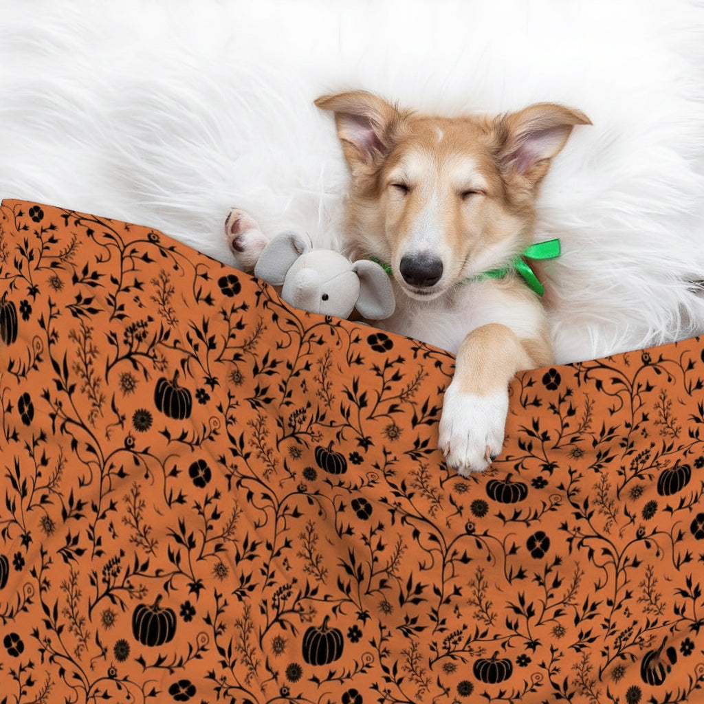 Nova - Cozy Iggy Blanket