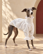 Gathered Iggy Summer Dress, worn by an Italian Greyhound