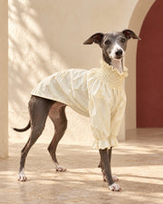 Gathered Puff-Sleeve Iggy Summer Shirt in Cream Yellow, worn by an Italian Greyhound