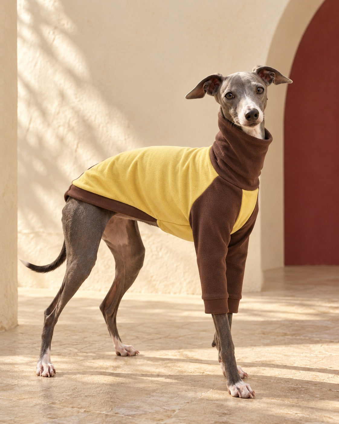 Gold & Brown Iggy Turtleneck Top in Gold, worn by an Italian Greyhound