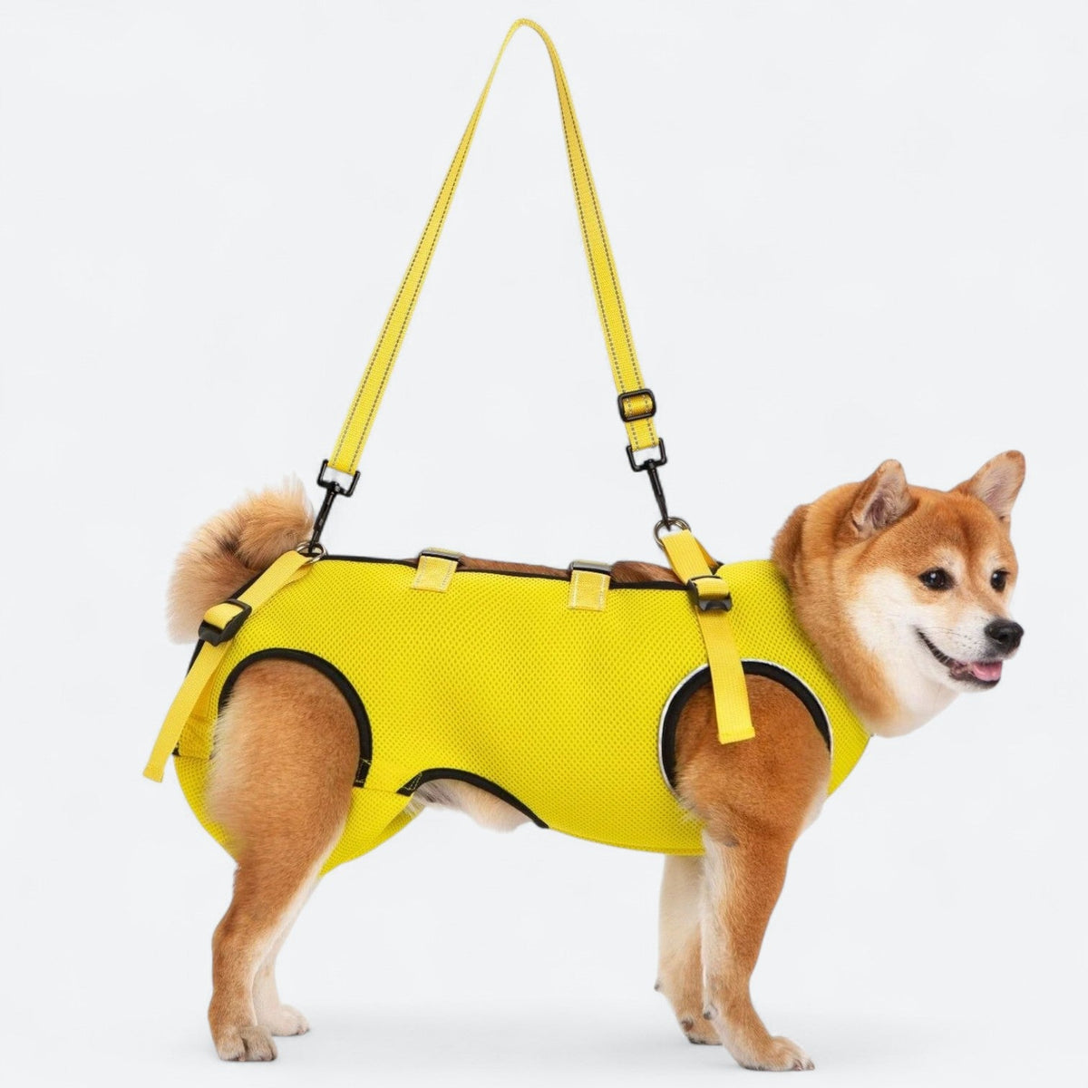 harness for lifting dogs