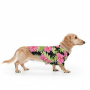 zoey - Iggy Hawaiian Shirt