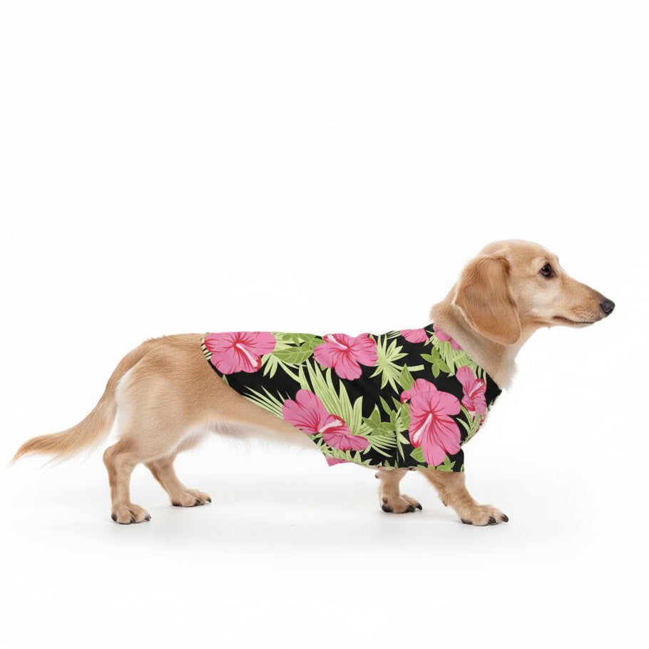 zoey - Iggy Hawaiian Shirt