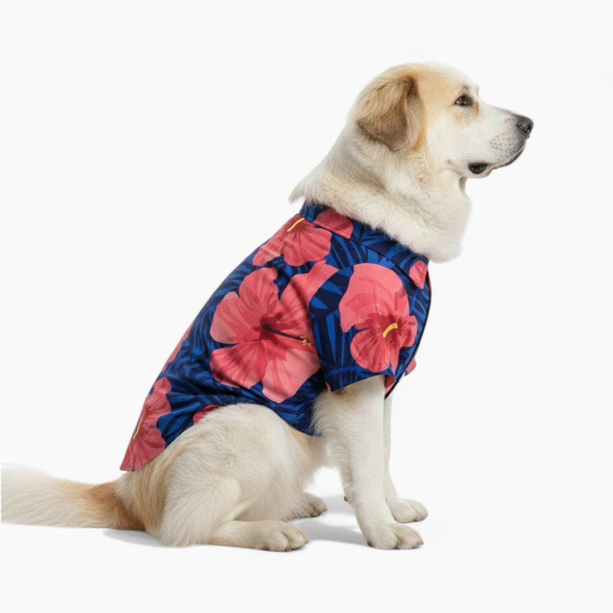 Nala - Iggy Hawaiian Shirt