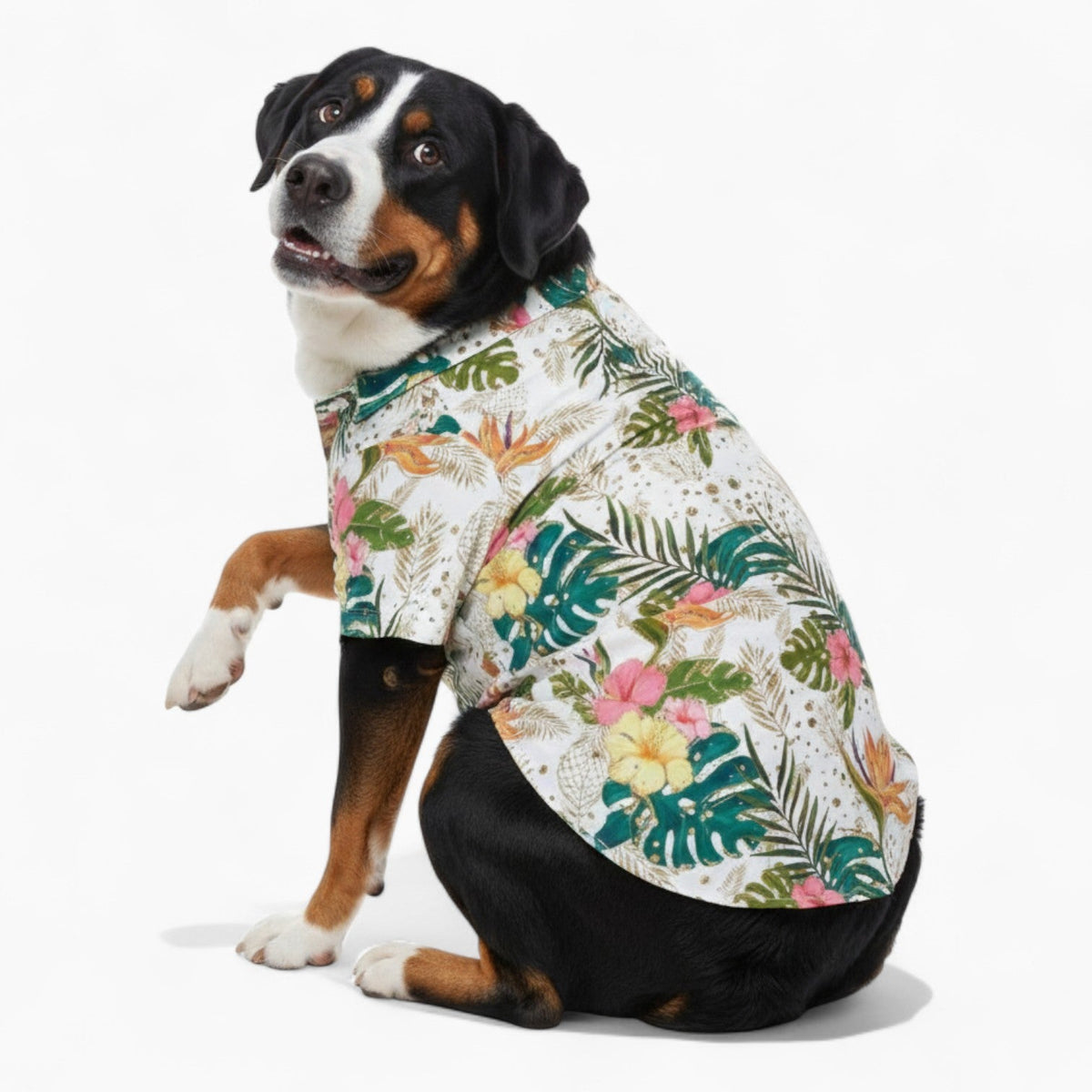 Remy - Iggy Hawaiian Shirt