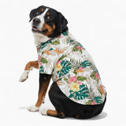 Remy - Iggy Hawaiian Shirt