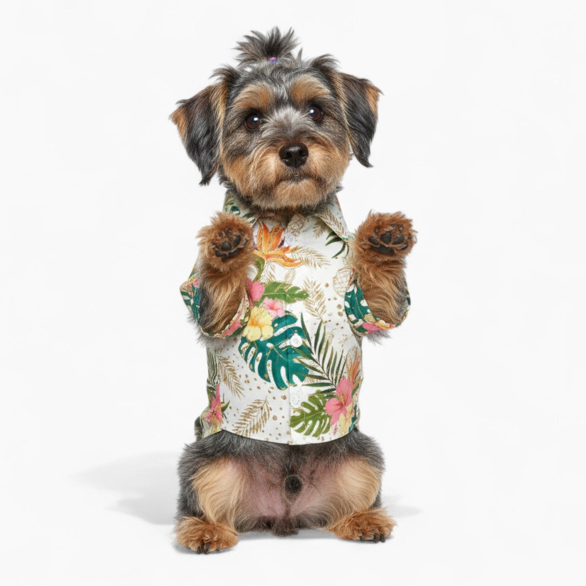 Remy - Iggy Hawaiian Shirt