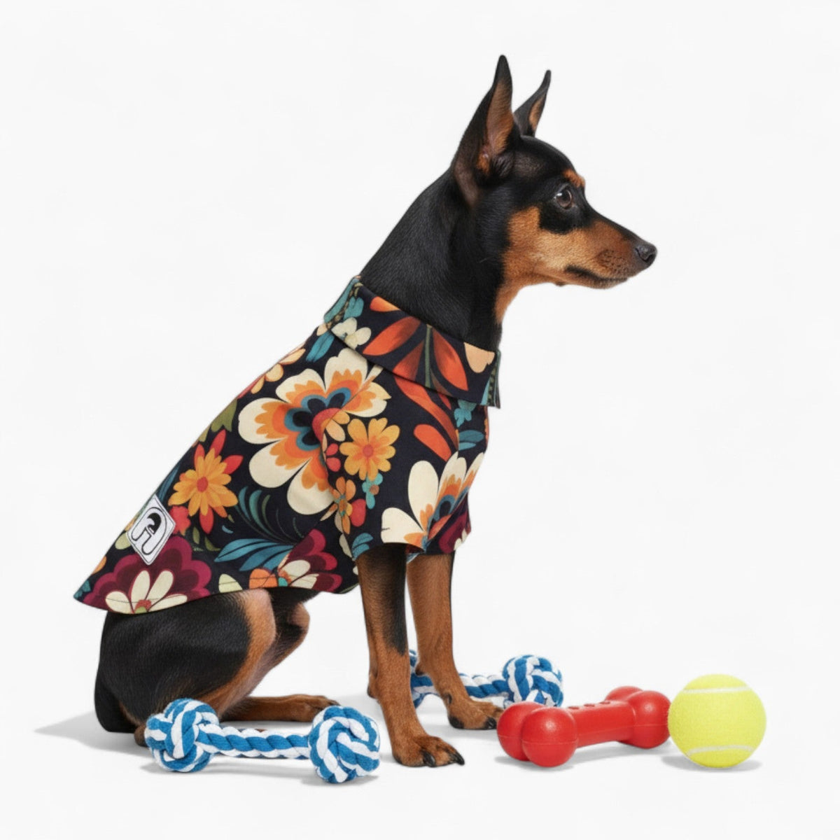 Pippa - Iggy Hawaiian Shirt
