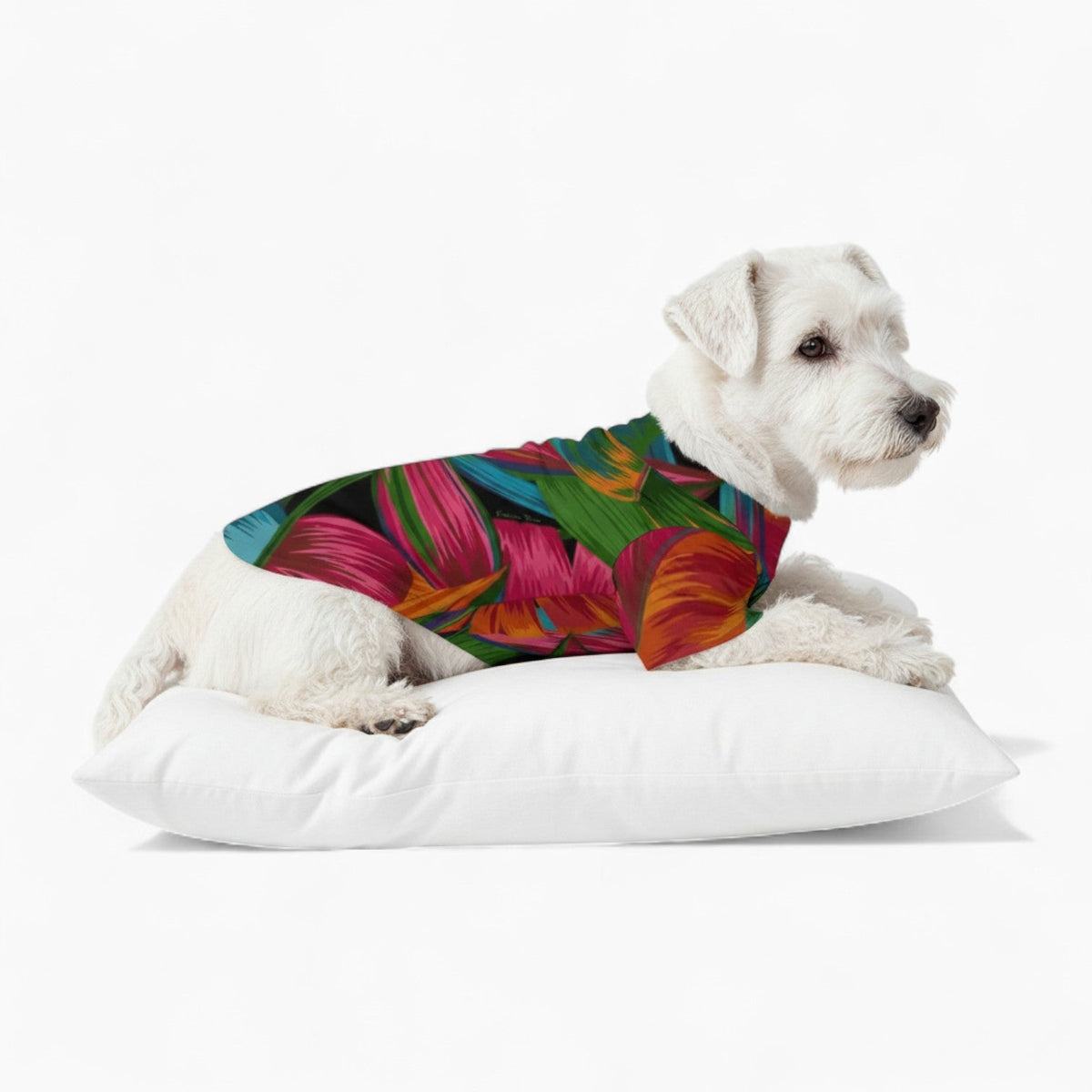 Lolo - Iggy Hawaiian Shirt