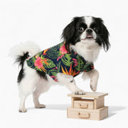 Joly - Iggy Hawaiian Shirt