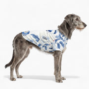 Taco - Iggy Hawaiian Shirt