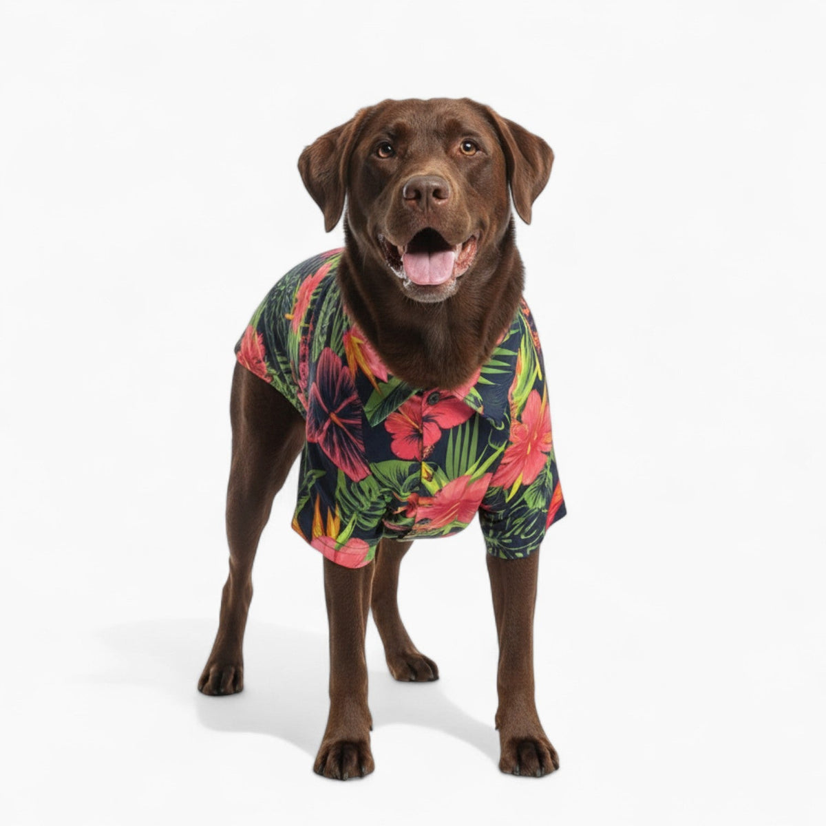Joly - Iggy Hawaiian Shirt