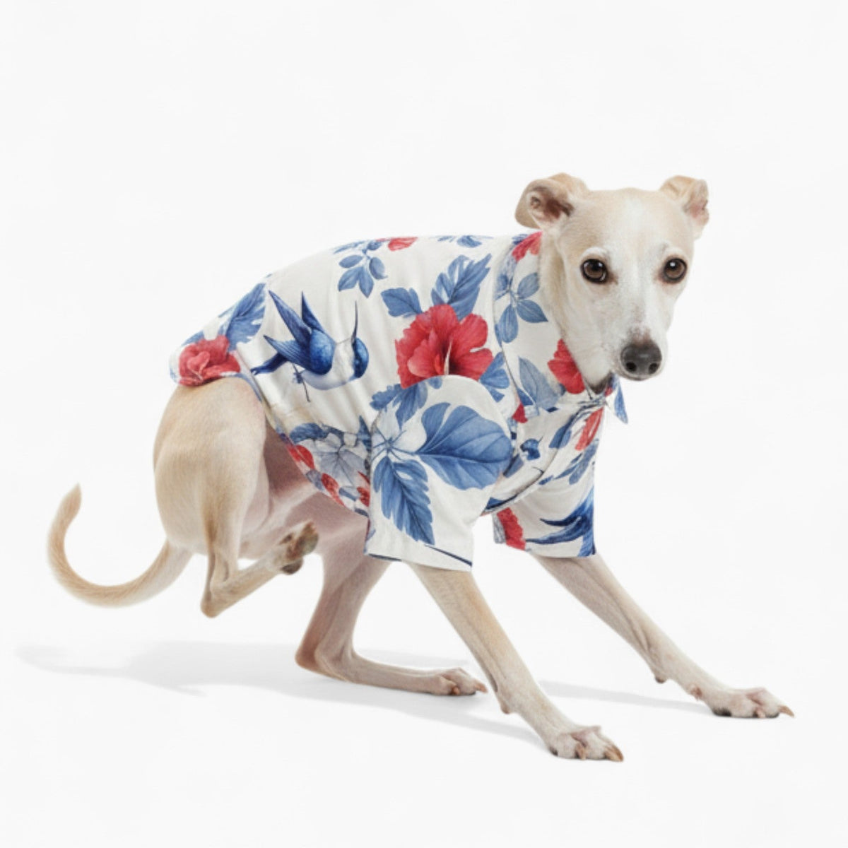 Taco - Iggy Hawaiian Shirt
