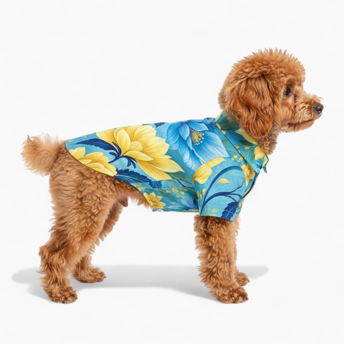 Klara - Iggy Hawaiian Shirt