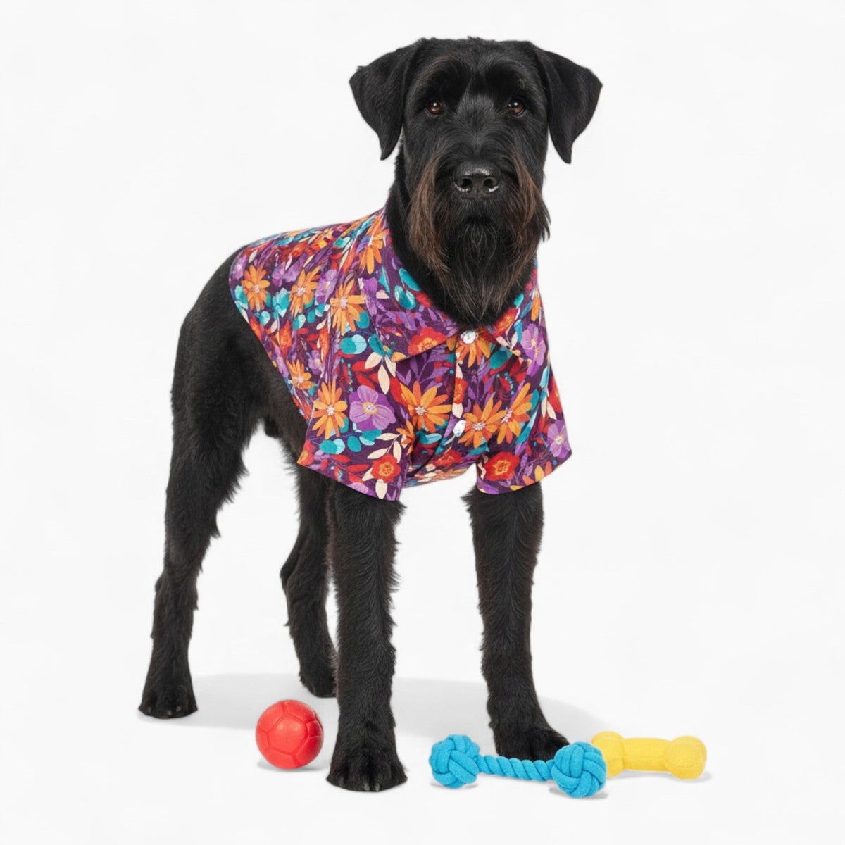 Indie - Iggy Hawaiian Shirt