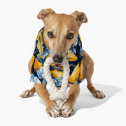 Theo - Iggy Hawaiian Shirt