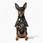 Blue - Iggy Hawaiian Shirt