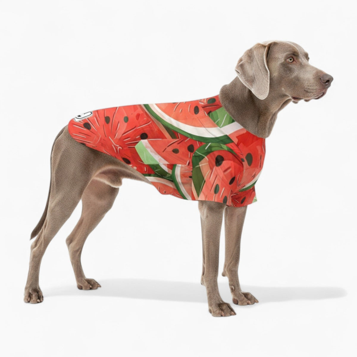 Echo- Iggy Hawaiian Shirt