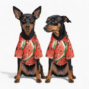 Echo- Iggy Hawaiian Shirt