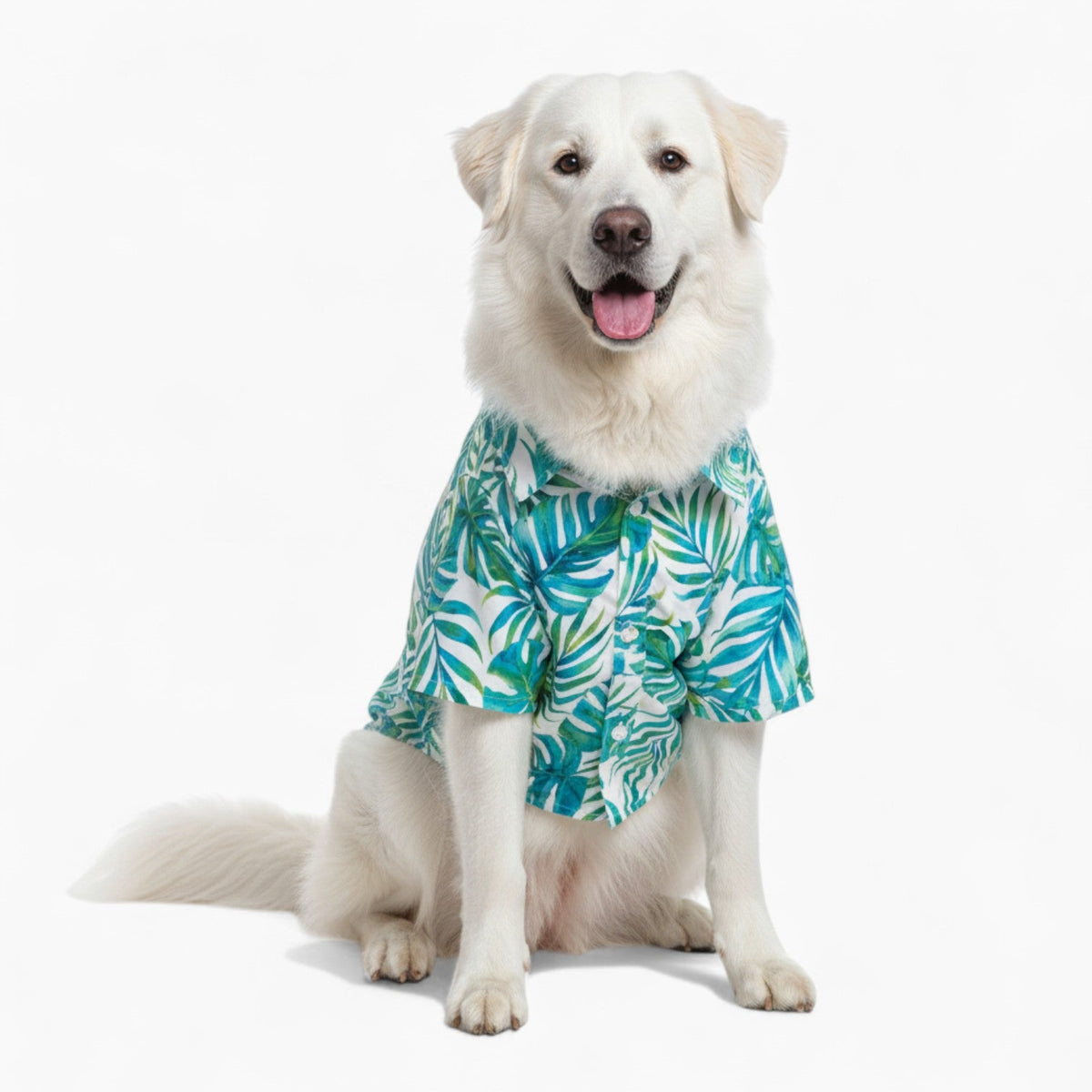 Daisy - Iggy Hawaiian Shirt