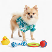 Daisy - Iggy Hawaiian Shirt