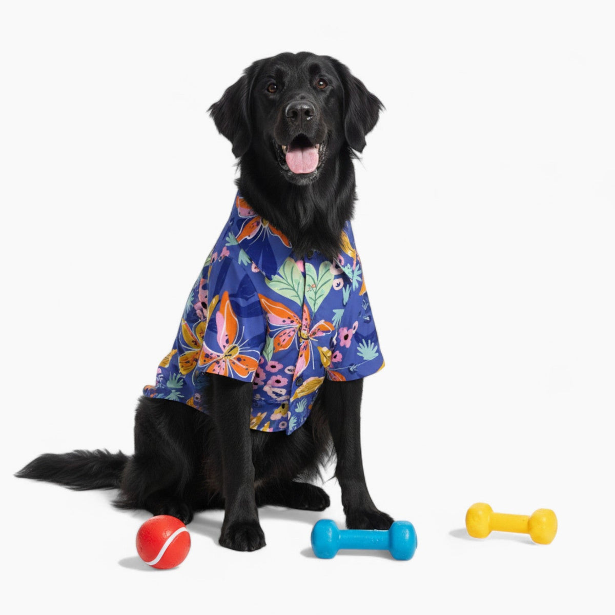 Biscuit - Iggy Hawaiian Shirt