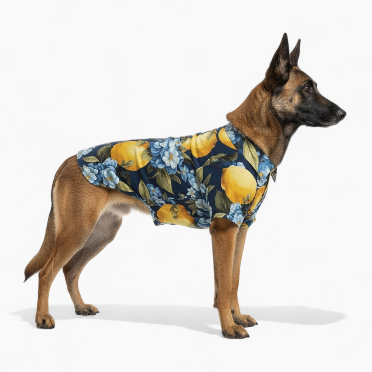 Theo - Iggy Hawaiian Shirt
