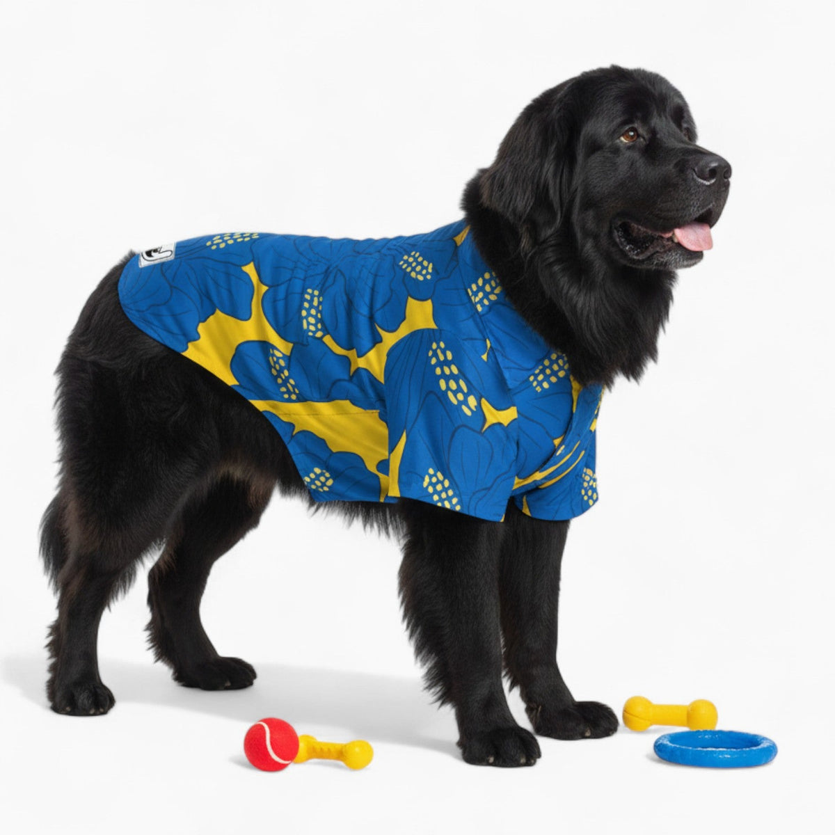 Bonnie - Iggy Hawaiian Shirt