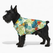 Zen - Iggy Hawaiian Shirt