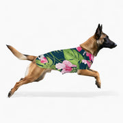 Ziggy - Iggy Hawaiian Shirt