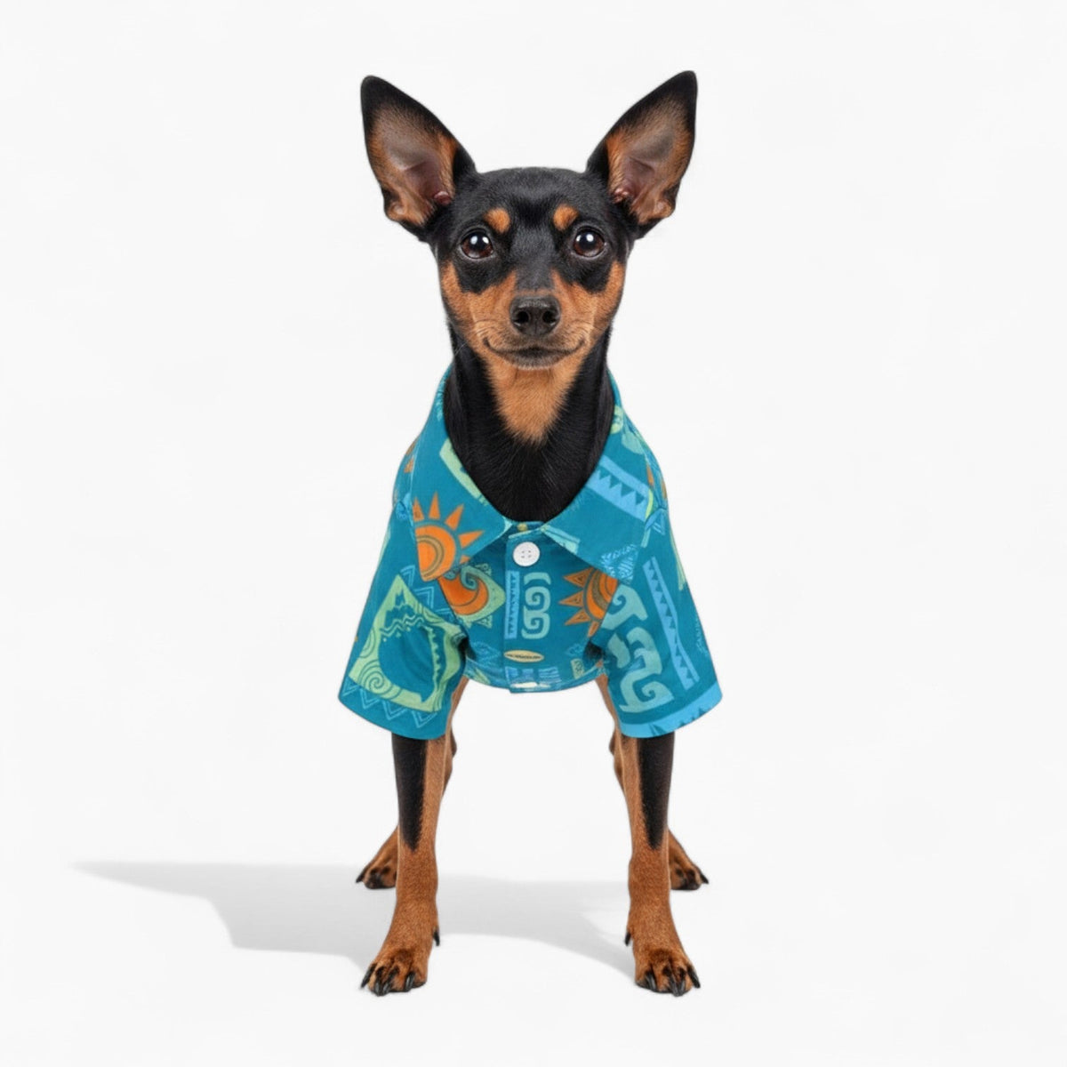 Vito - Iggy Hawaiian Shirt