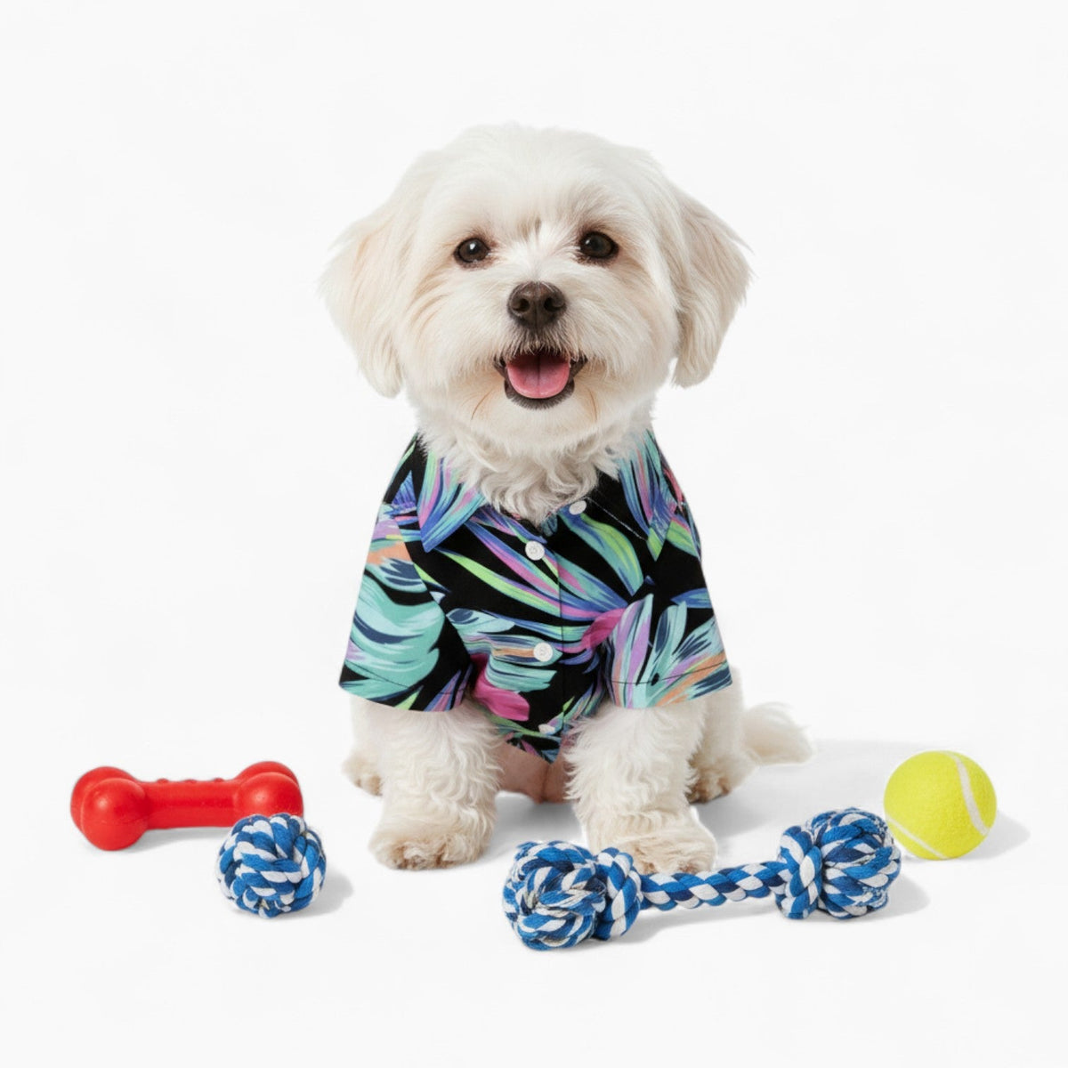 Storm- Iggy Hawaiian Shirt