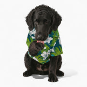 Nico - Iggy Hawaiian Shirt