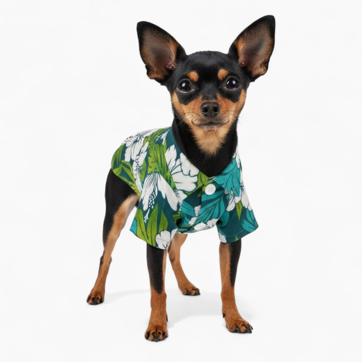 Nico - Iggy Hawaiian Shirt