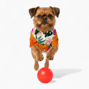 Atlas - Iggy Hawaiian Shirt