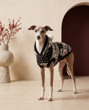 Italian Greyhound wearing the Iggy Grey christmas knitted hoodie sweater