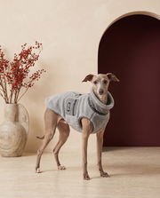 Italian Greyhound wearing the Iggy Grey winter fleece vest with leash ring