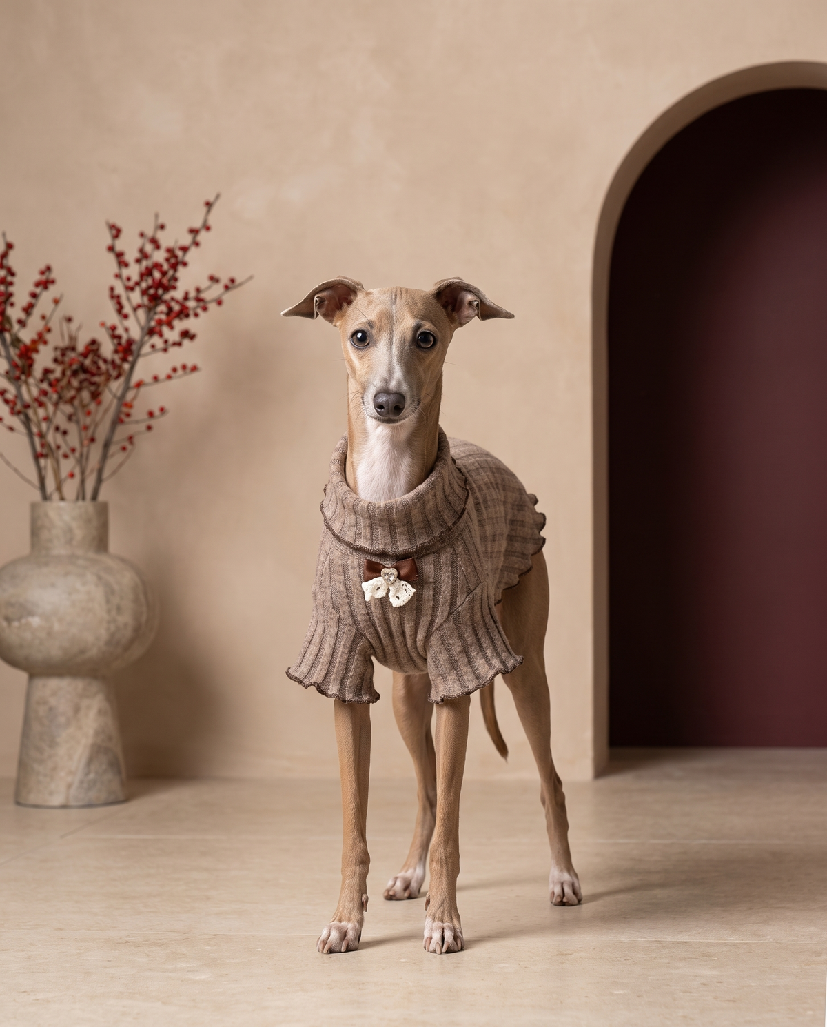 Italian Greyhound wearing the Iggy Grey high-neck knitted sweater