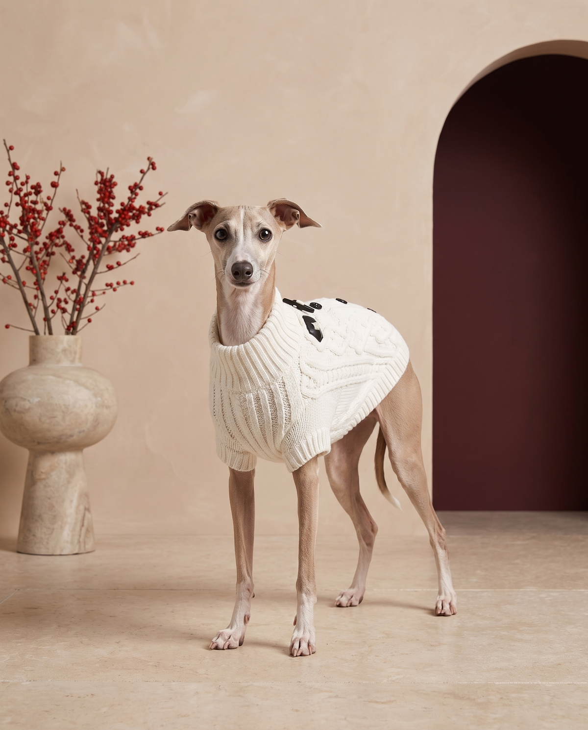 Italian Greyhound wearing the Iggy Grey warm toggle button sweater