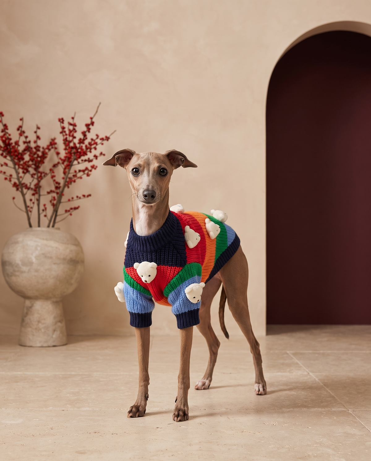 Italian Greyhound wearing the Iggy Grey plush bears warm sweater