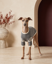 Italian Greyhound wearing the Iggy Grey classic ribbed knitted sweater