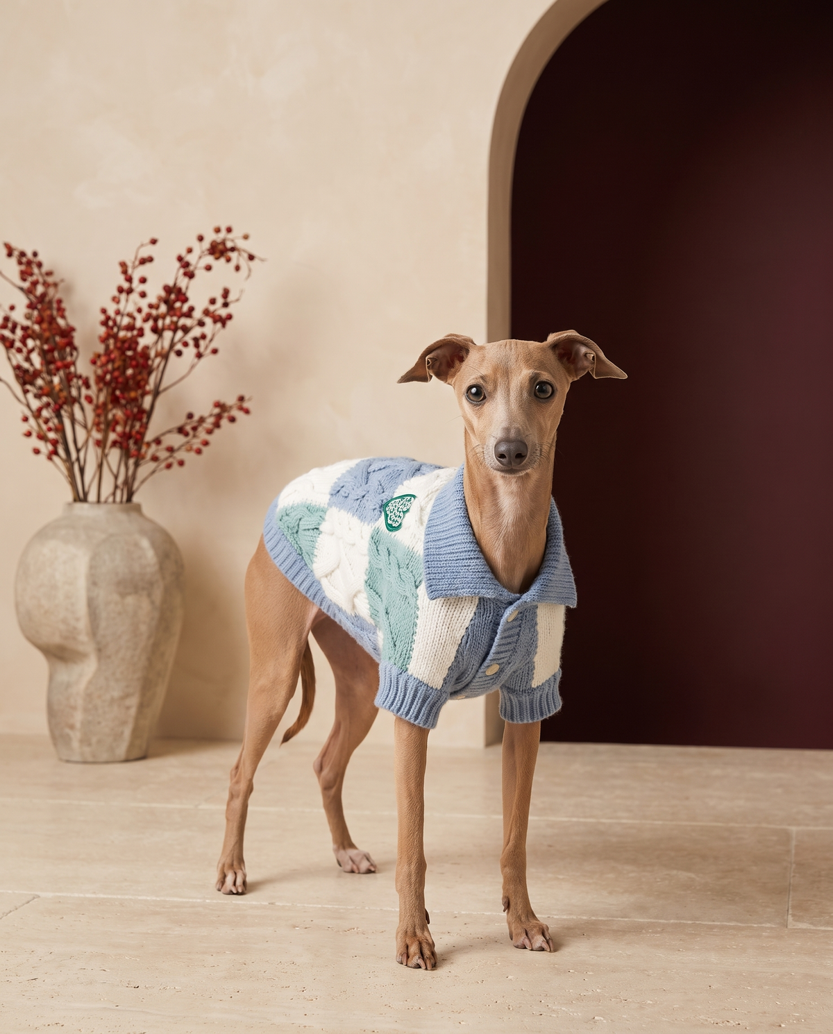 Italian Greyhound wearing the Iggy Grey cute heart pullover sweater