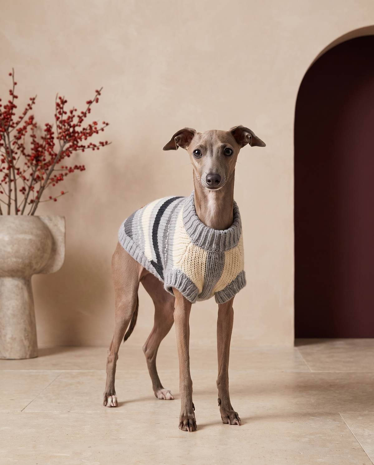 Italian Greyhound wearing the Iggy Grey cozy striped knitted sweater