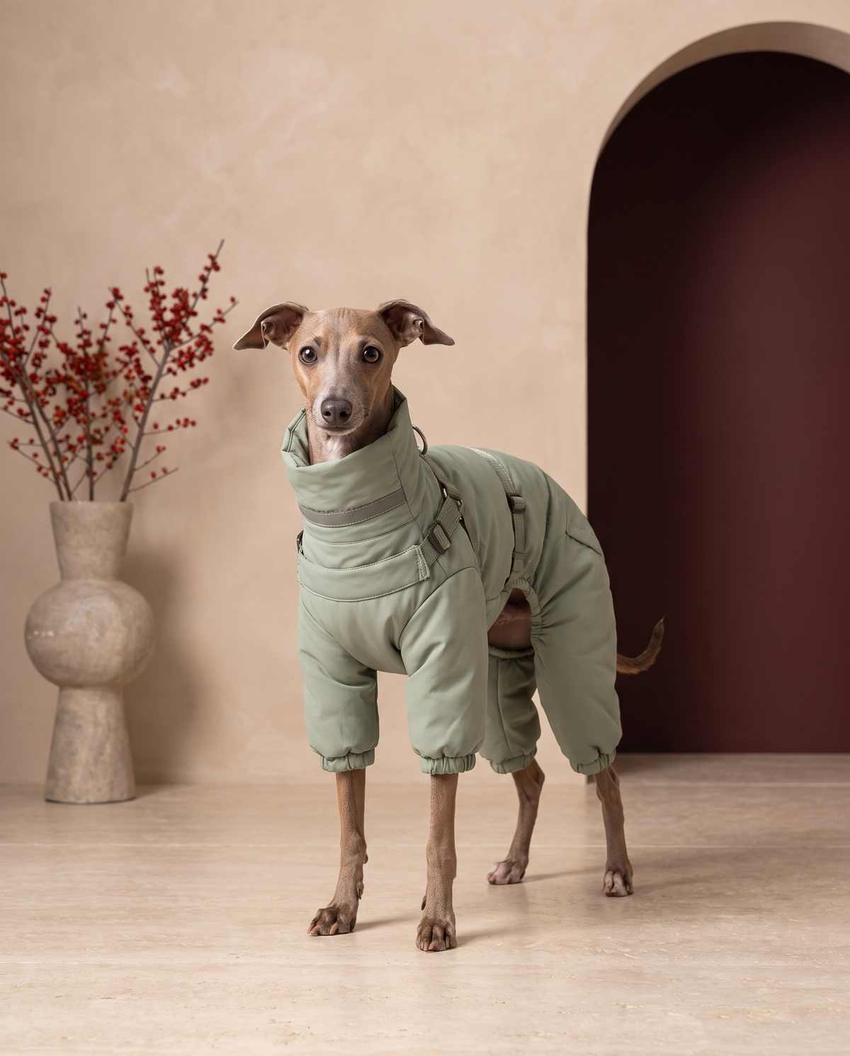 Italian Greyhound wearing the Iggy Grey premium reflective down jacket