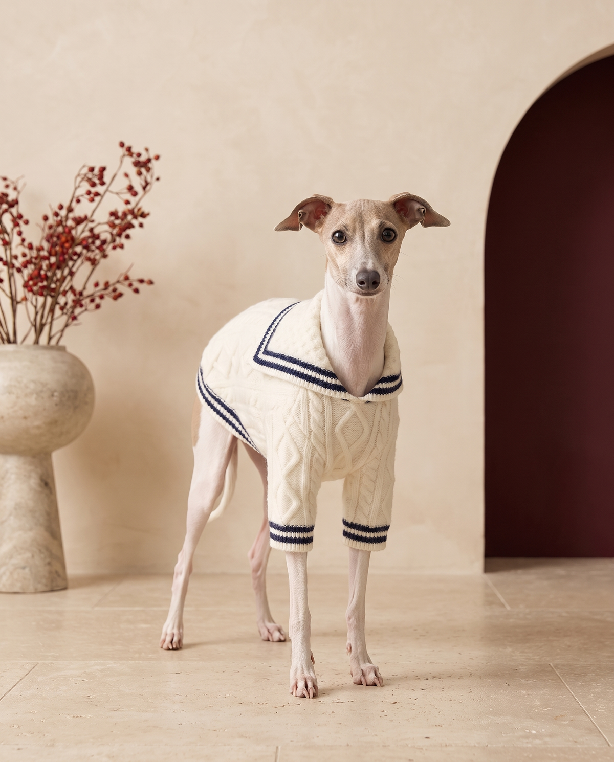 Italian Greyhound wearing the Iggy Grey cozy knitted sailor collar sweater