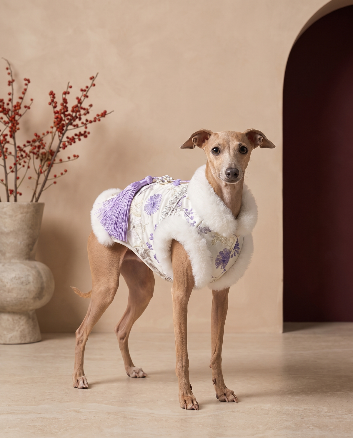 Italian Greyhound wearing the Iggy Grey elegant chinoiserie tang vest