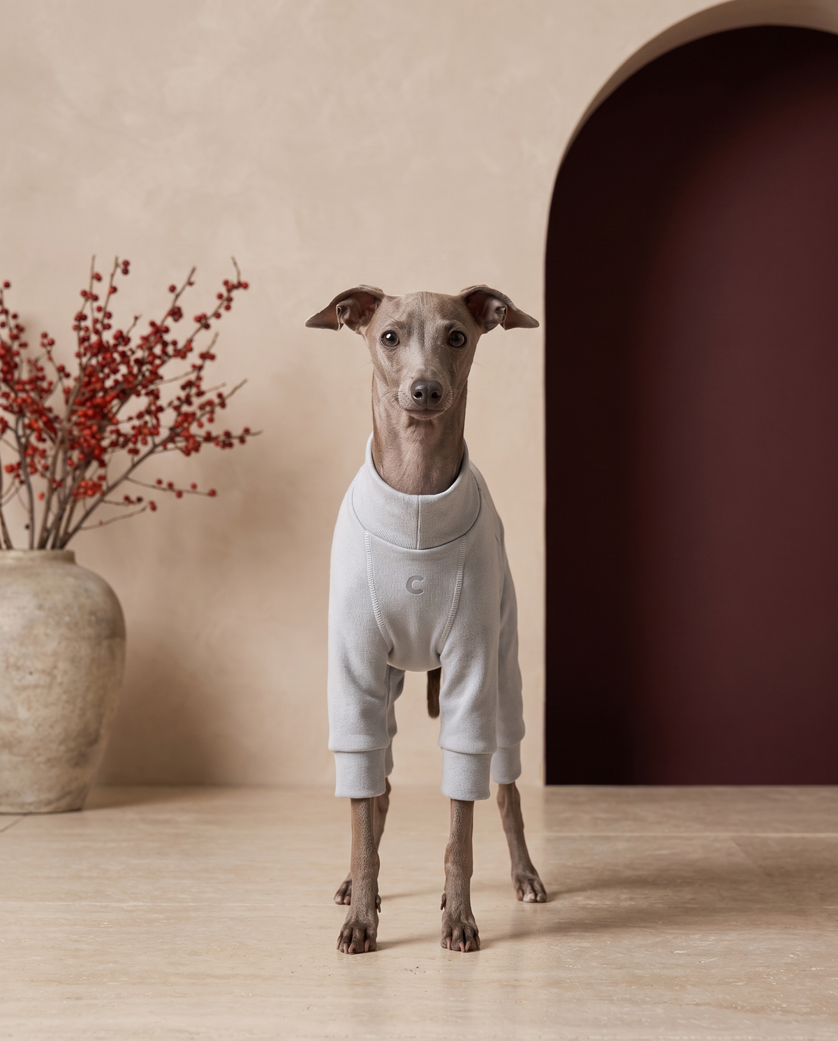 Italian Greyhound wearing the Iggy Grey soft fleece base layer pajamas