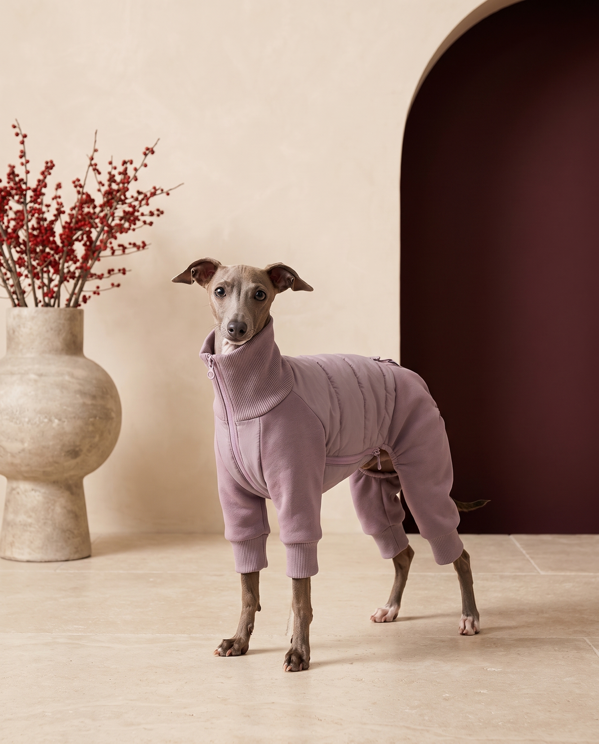 Italian Greyhound wearing the Iggy Grey premium down-filled winter jumpsuit