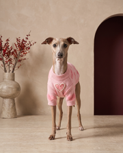 Italian Greyhound wearing the Iggy Grey pearl heart knitted sweater